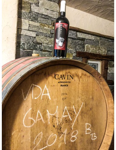 Cave Gargantua - Gamay